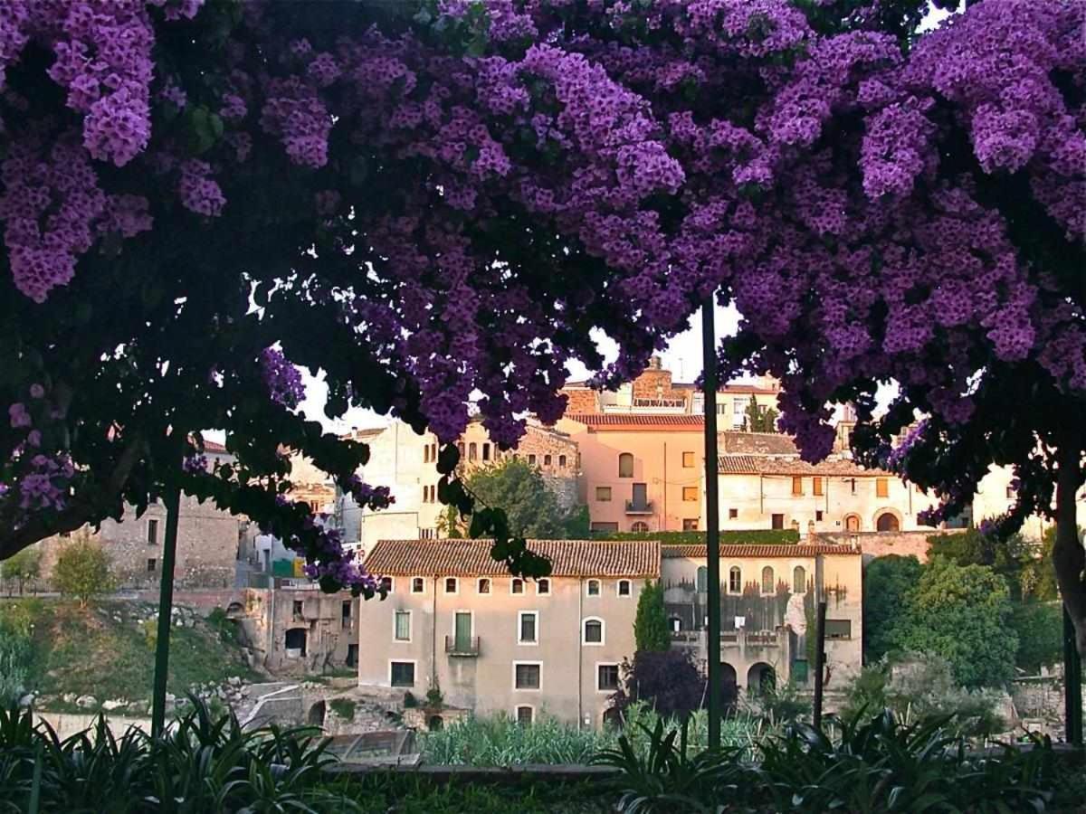 Hotel Rural Hd Riudebitlles Art I Allotjament Sant Pere de Riudebitlles Esterno foto